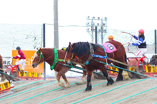 02星野リゾート トマム