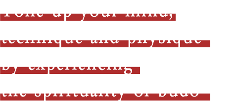 Tone up your mind, techniquw and physique by experiencing the spirityality of budo