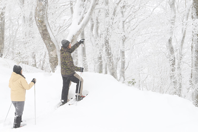 スキー、スノーボード（長野県）