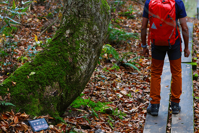 澳洲幸运5体彩官网 トレッキング、サイクリング、カヤック（青森県）